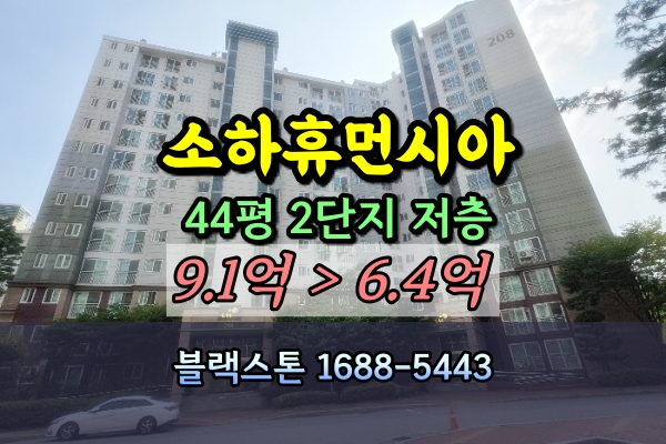  광명소하휴먼시아 2단지 경매 44평 저층 [2024타경3766]