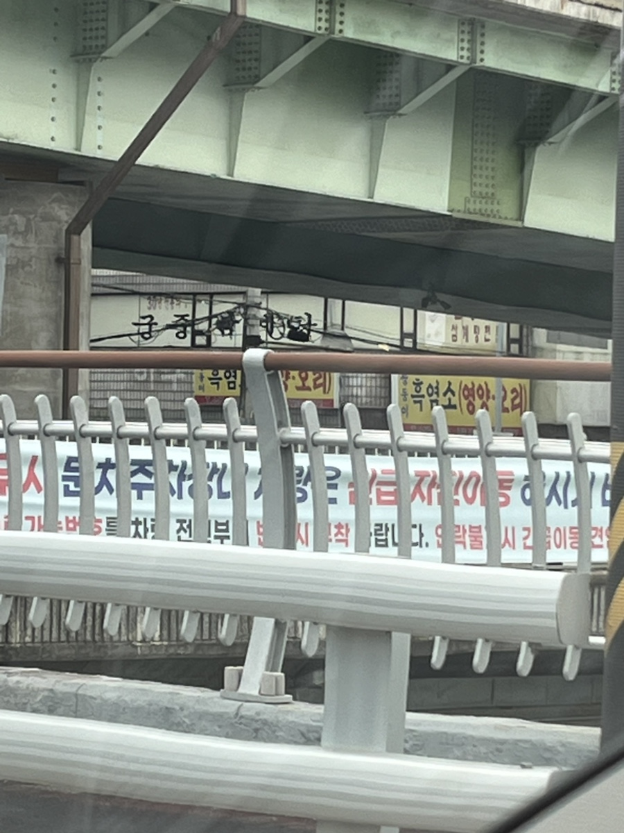 모수차미 대교식당 사진 1