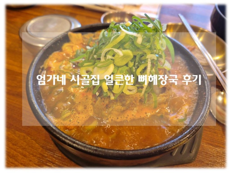 천안 직산 맛집 엄가네본가시골집 24시 얼큰한 뼈해장국 내돈내먹 직장인 점심 후기!