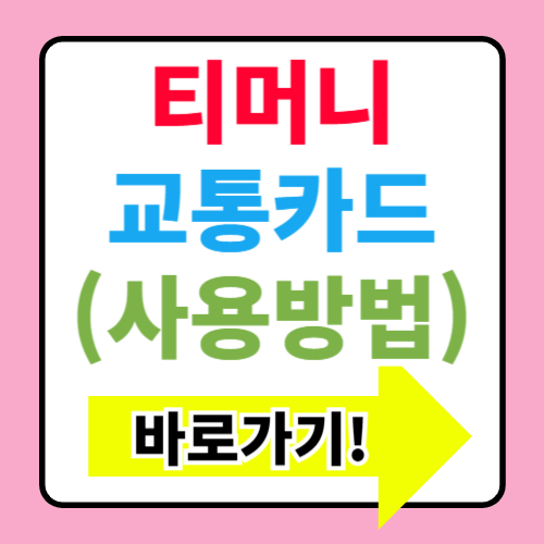  아이폰 티머니 교통카드 출시 확정 한국 애플페이 시작
