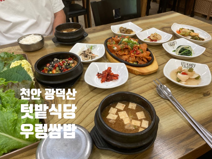  “한 상 가득 감동” 광덕산 텃밭식당, 천안 우렁쌈밥 제육볶음 된장찌개의 정석