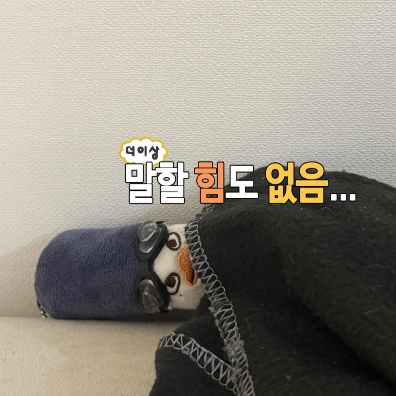 RIIZE Sohee's Ttolbyeong Doll: Real-Life Look & RIIZE Random Keyring