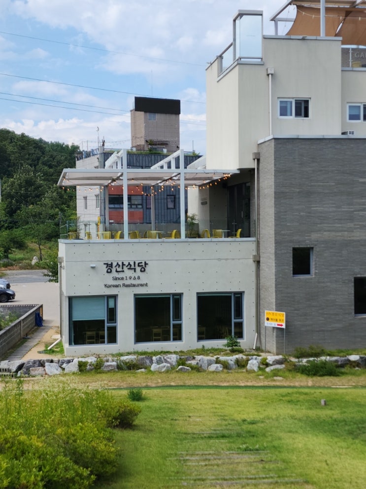 [다사맛집 추천] 강정보 맛집 경산식당 – 백년가게 보양식 맛집, 문어닭찜·능이닭백숙·메기매운탕까지!