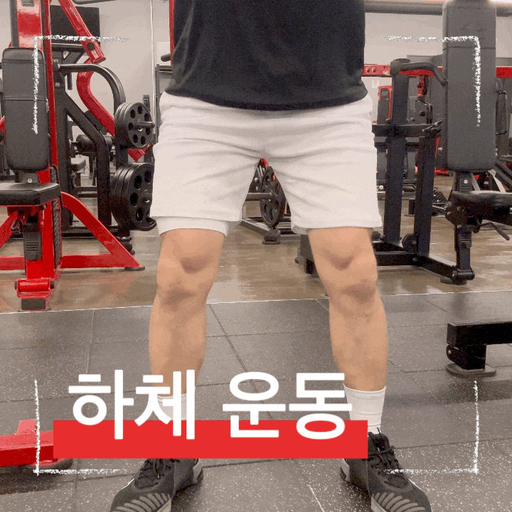  하체부터 코어까지! 고블린 스쿼트 완벽 가이드