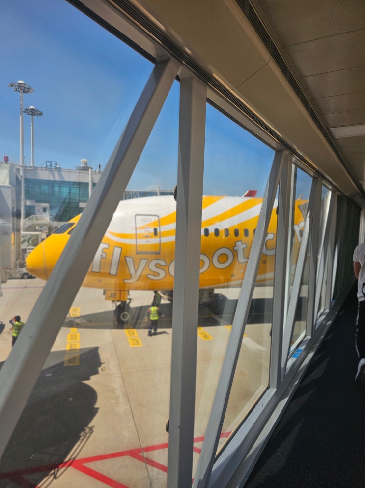  싱가포르 여행 / 싱가포르 저가항공  fly Scoot  스쿠트항공 후기 (feat.스카이허브라운지)