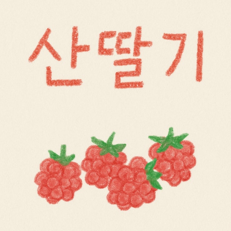  산딸기 효능, 아이 간식으로 딱 좋은 이유 5가지