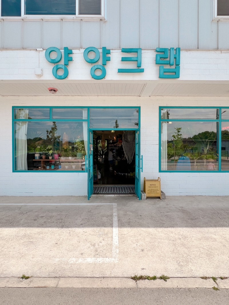 사진 4