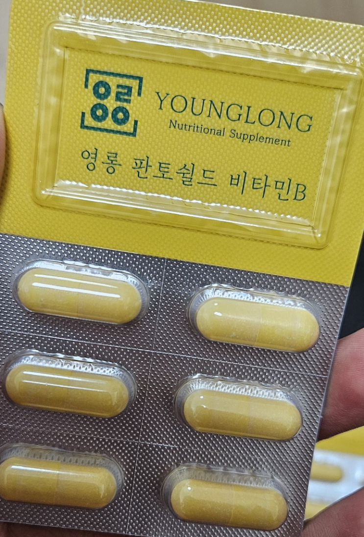  비타민B 영양제 추천｜피로회복·집중력 다 잡은 영롱 판토쉴드 후기