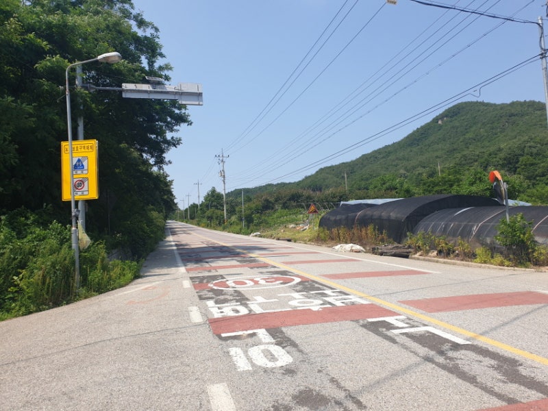 사진 2