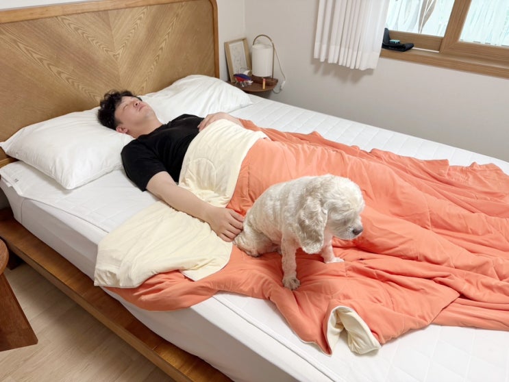 여름 냉감이불 고를 땐 슬리피노 쿨쿨이불 알러지프리라 좋지