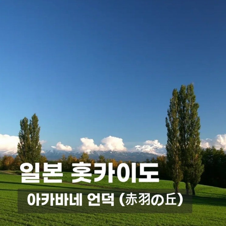 아카바네 언덕 (赤羽の丘) | 고요한 비에이의 숨은 명소, 홋카이도 여행지 추천