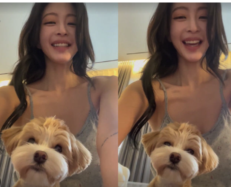 <b>한예슬</b> 강아지 유치원 호텔링 어디 <b>반려견</b> 다리 부러짐 <b>사고</b> 황당