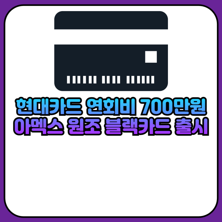 현대카드 연회비 700만원 아멕스 원조 블랙카드 출시