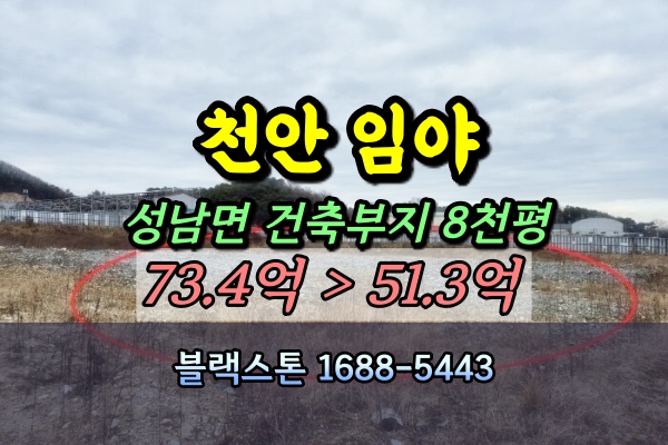  천안시 임야 경매 동남구 성남면 8천평 [2024타경116187]