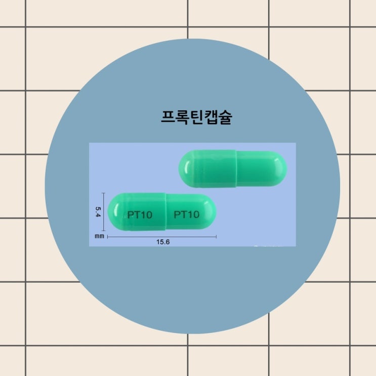 프록틴캡슐 푸록틴캡슐 20mg 10mg 효능 복용법 부작용 주의사항 보관법