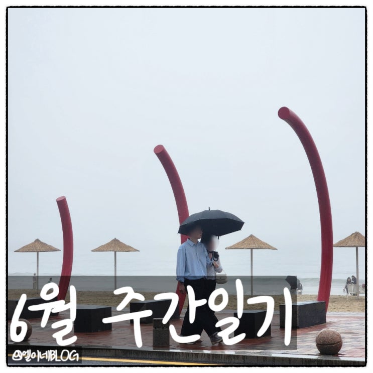 떨어지는 삶의 질을 간신히 부여잡은 주간일기