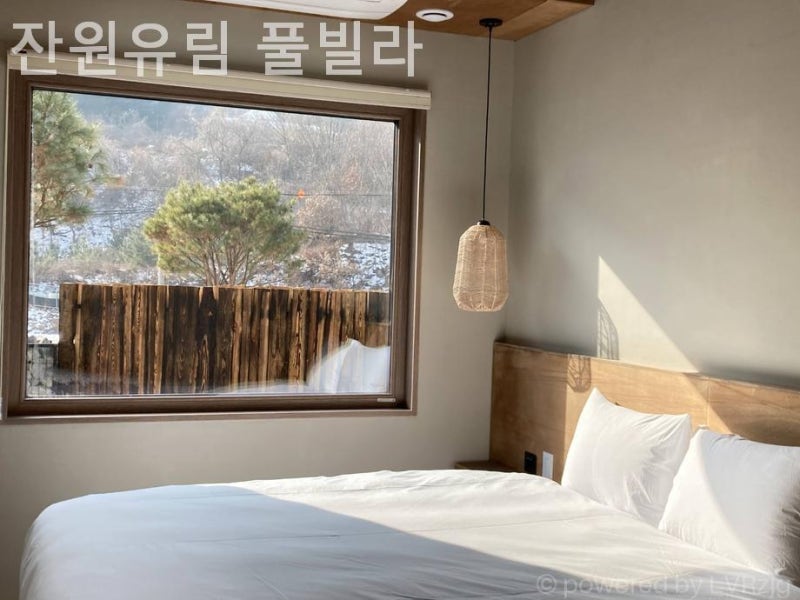 사진 2