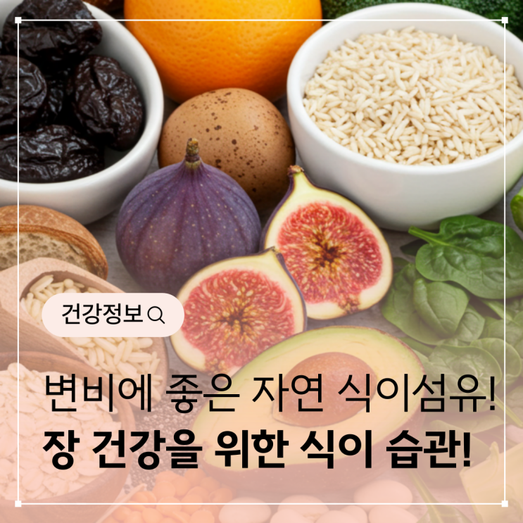  변비에 좋은 자연 식이섬유 - 장 건강과 원활한 배변을 위한 식이 습관