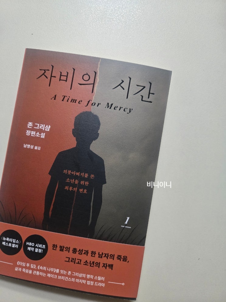  운명의 방아쇠, 그리고 마지막 희망 - 존그리샴 《자비의 시간》