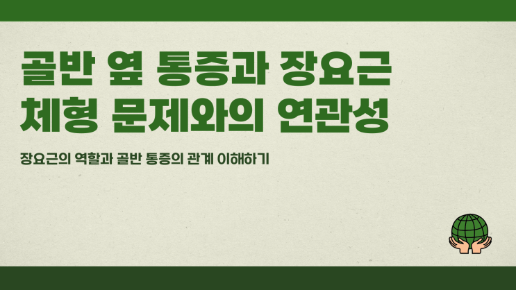  골반 옆 통증, 장요근과 체형 문제 연결