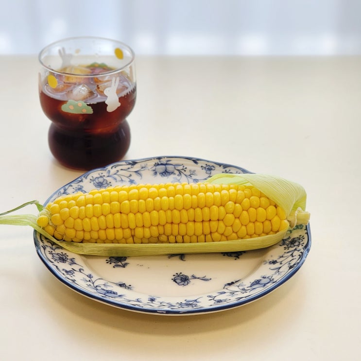 초당옥수수 전자레인지 찌기 칼로리 보관 손질법 초당옥수수 전자레인지 찌기 칼로리 보관 손질법