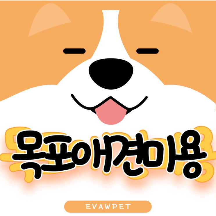  목포애견미용 요즘 떠오르고 있는 학원! 이유는?