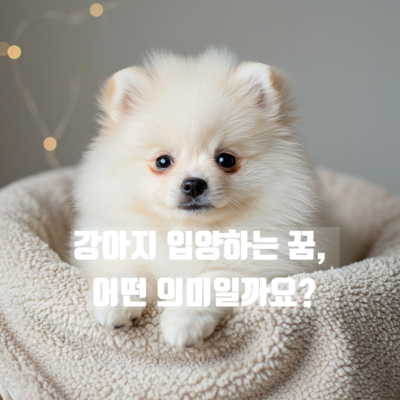 강아지 입양하는 꿈, 어떤 의미일까요?