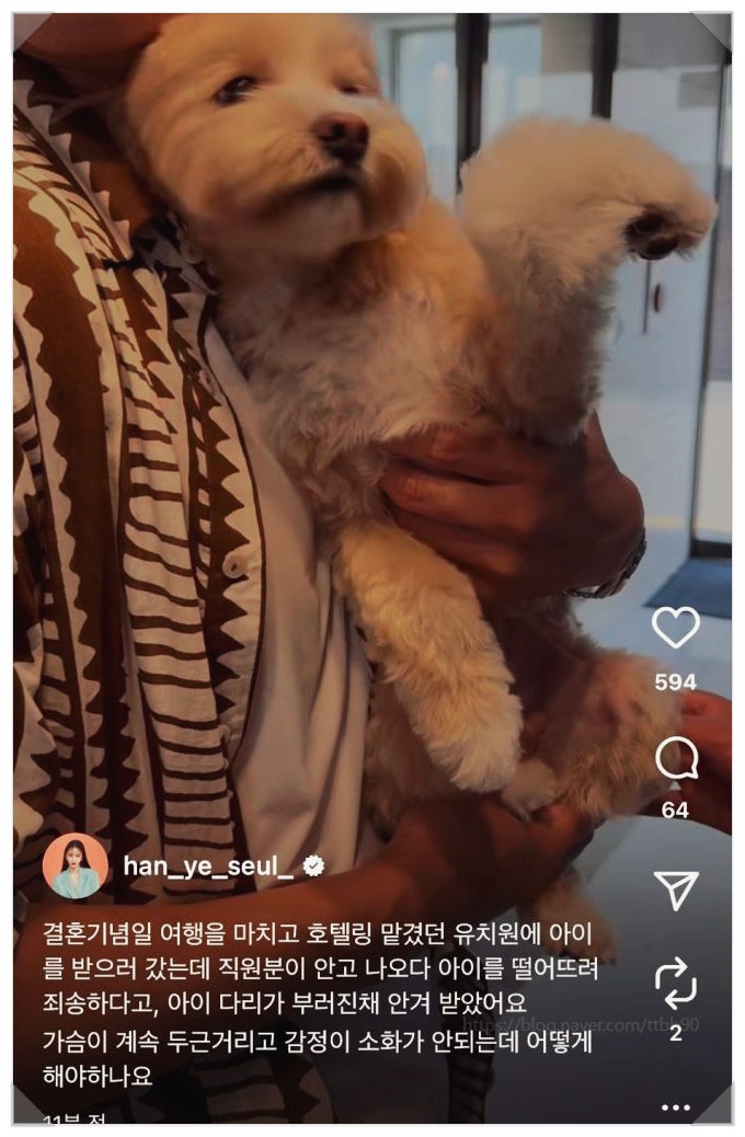  한예슬 강아지 논란 왜 공분을 샀나 호텔링 도중 골절 사고 위치는?