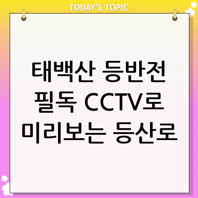 태백산 실시간 CCTV로 안전하고 즐거운 산행 계획하기