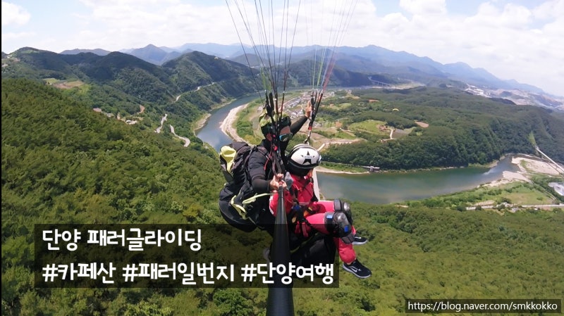사진 5