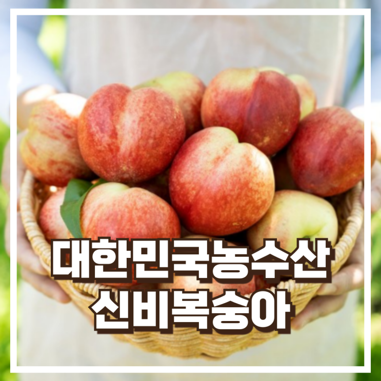  여름 입맛 살려주는 대한민국농수산 신비복숭아 6월 제철과일 리뷰, 혜택가