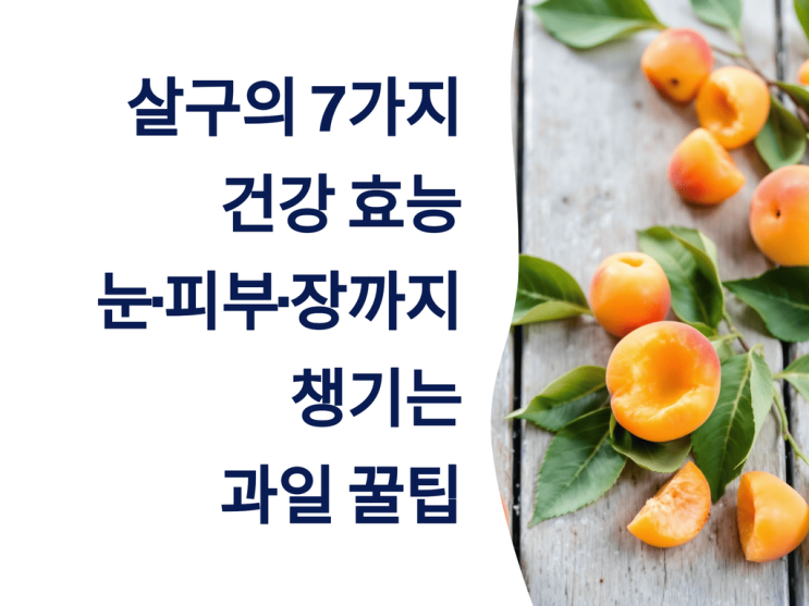  살구의 7가지 건강 효능: 눈·피부·장까지 챙기는 과일 꿀팁