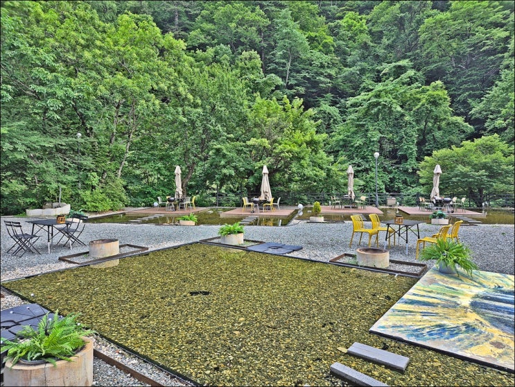  설악산 숙소 추천(숲캉스 감성숙소, 미친 가성비)