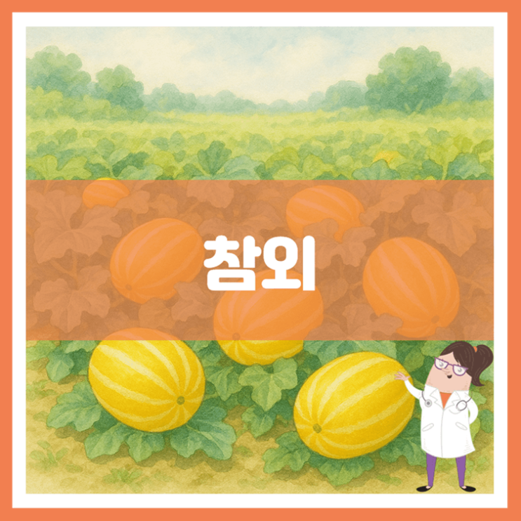  참외 효능 부작용 고르는 방법