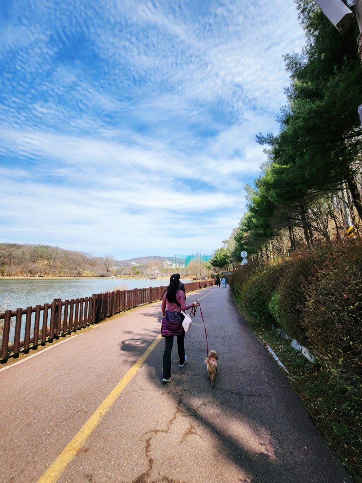  [짜몽's 감성일상] 극난저 진단 후 임신까지, 노산맘의 마음 일기