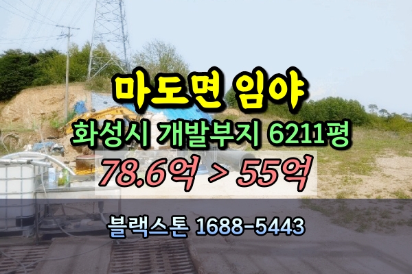  화성시 마도면 임야 6천평 경매 금당리 개발부지 50억
