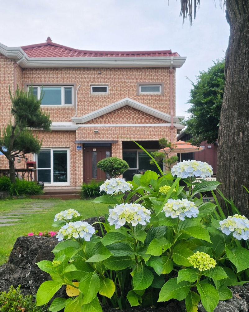 사진 2