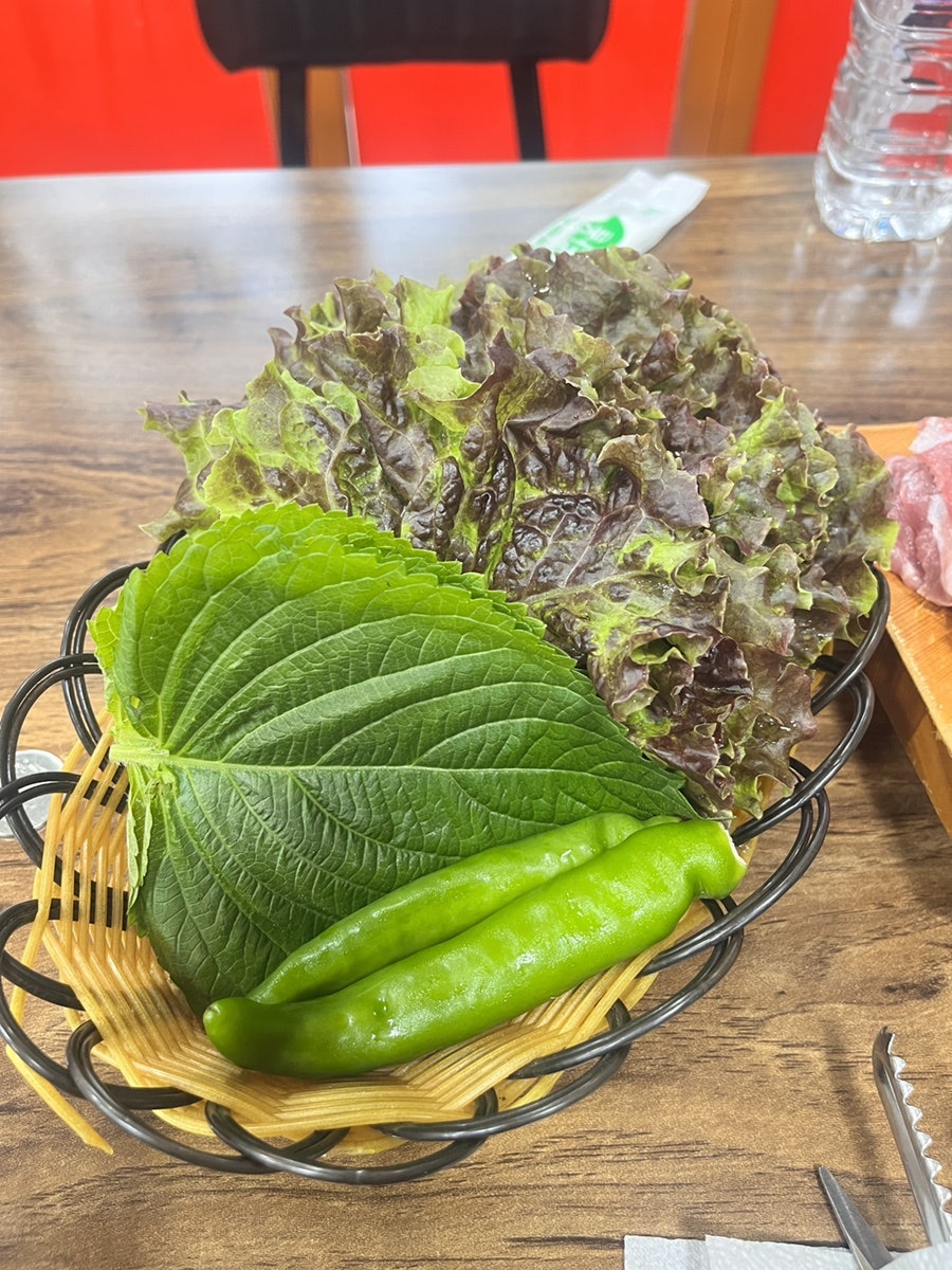 돈뽈 사진 5