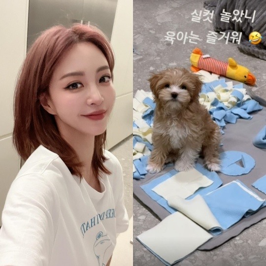 <b>한예슬</b> 강아지 유치원에서 사고