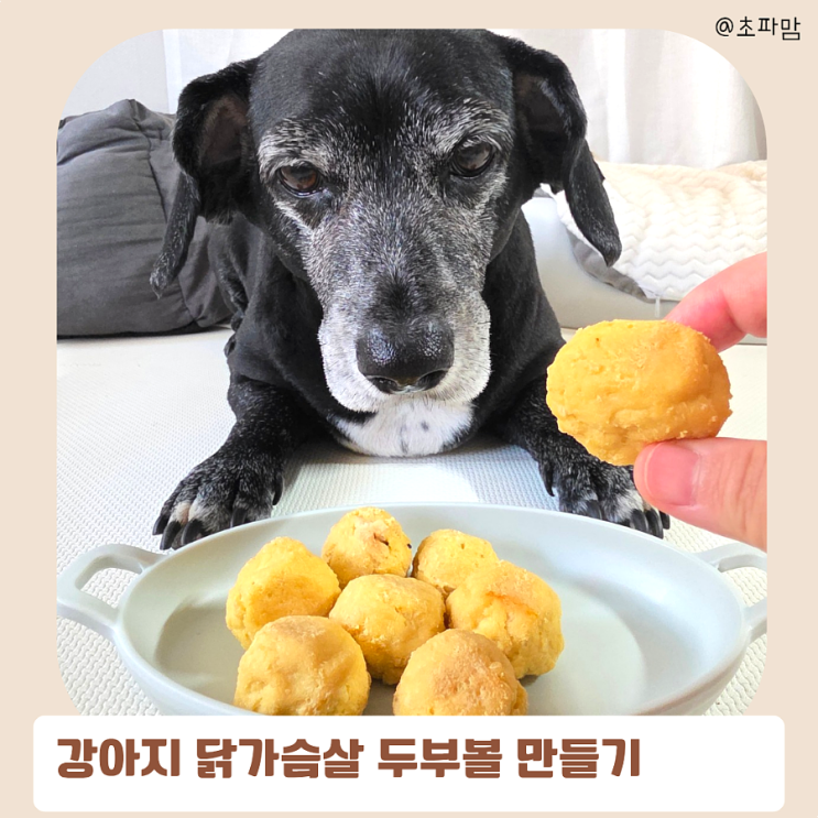  강아지 다이어트 간식 닭가슴살 품은 두부볼 만들기