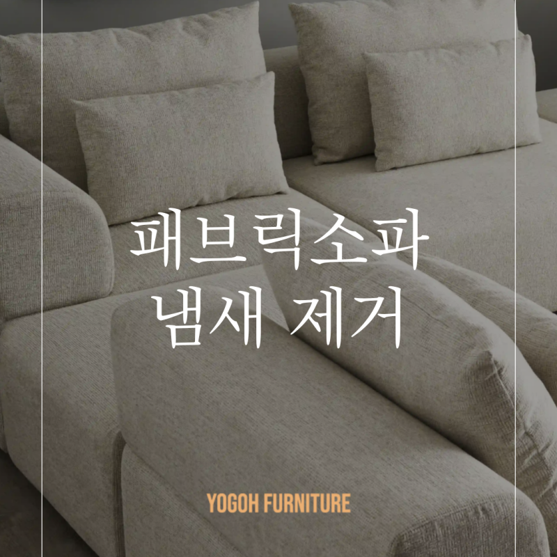 패브릭소파 냄새 제거 방법 관리 꿀팁 5가지