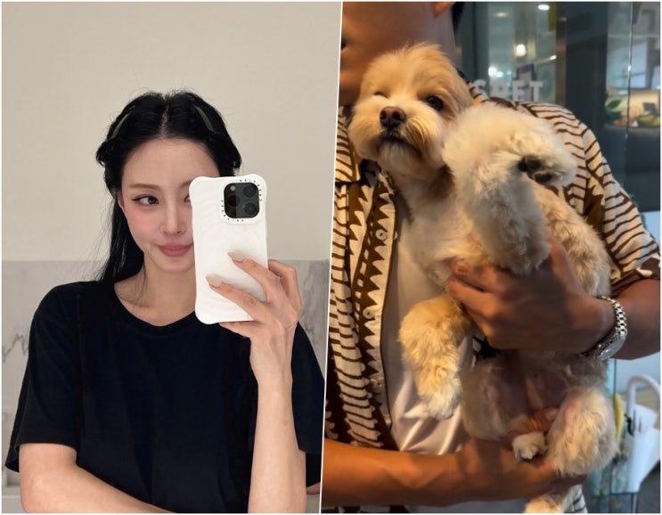 <b>한예슬 반려견</b> 사고, 호텔링 안전 다시 생각해볼 때