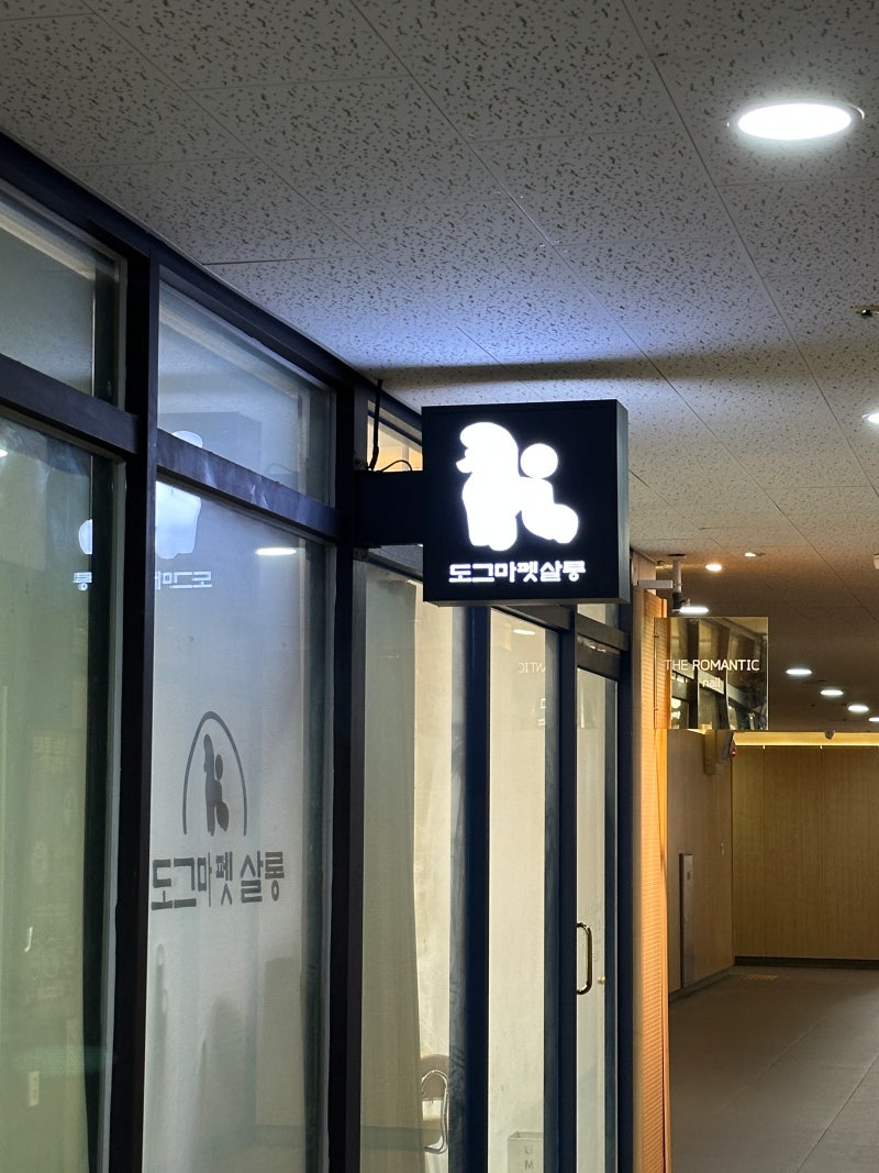 사진 4