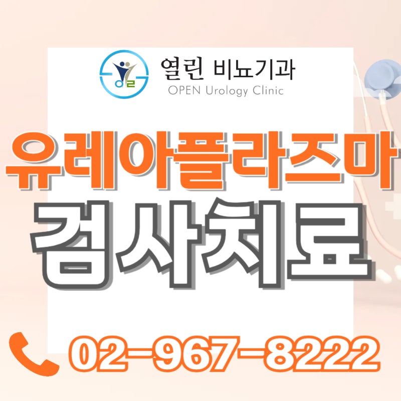 유레아플라즈마 유레아리티쿰 라이티쿰 남자감염완치재발