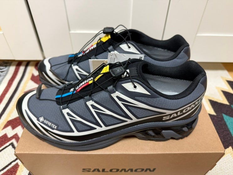  내가 이 신발을 좋아하게될 줄은 몰랐어 / 살로몬 XT6 gtx