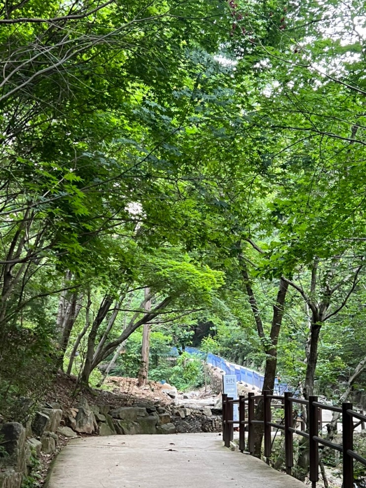  우연히 방문하고 단골된 보리굴비 간장게장 찐맛집 유라한정식