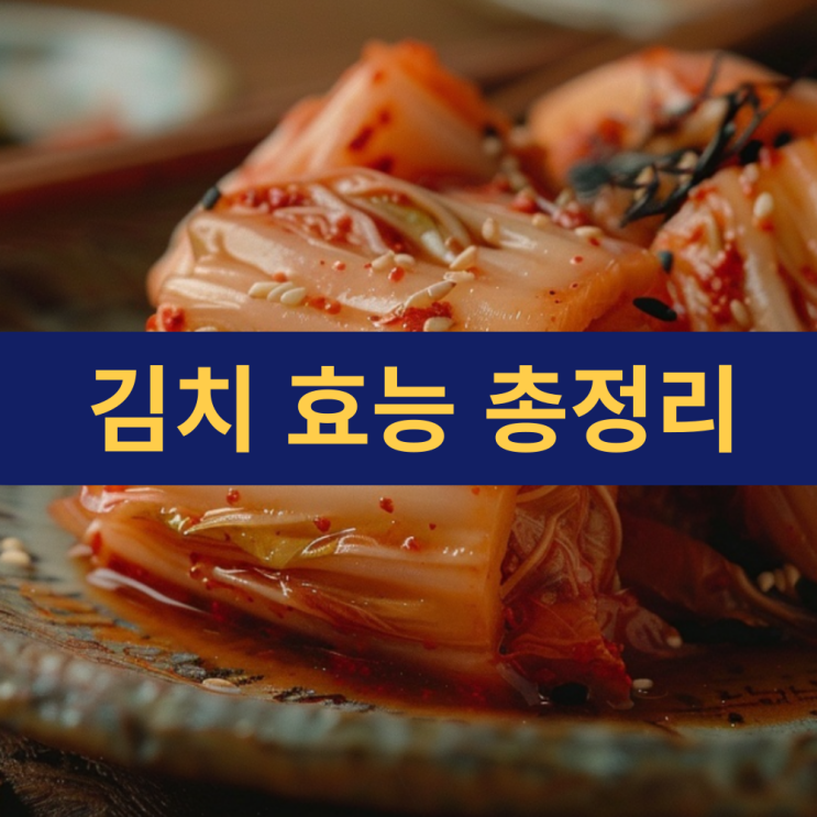  김치 효능 | 갓 담은 김치와 묵은지(신김치)의 차이 | 김치 유산균 효능