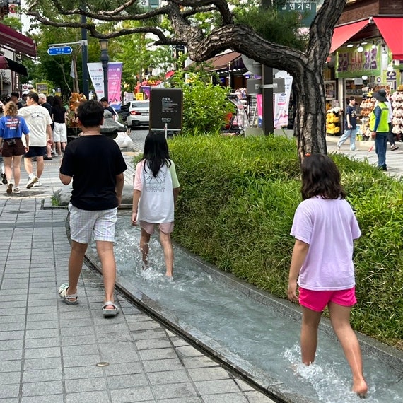 2025년 6월 전주 한옥마을의 이모저모