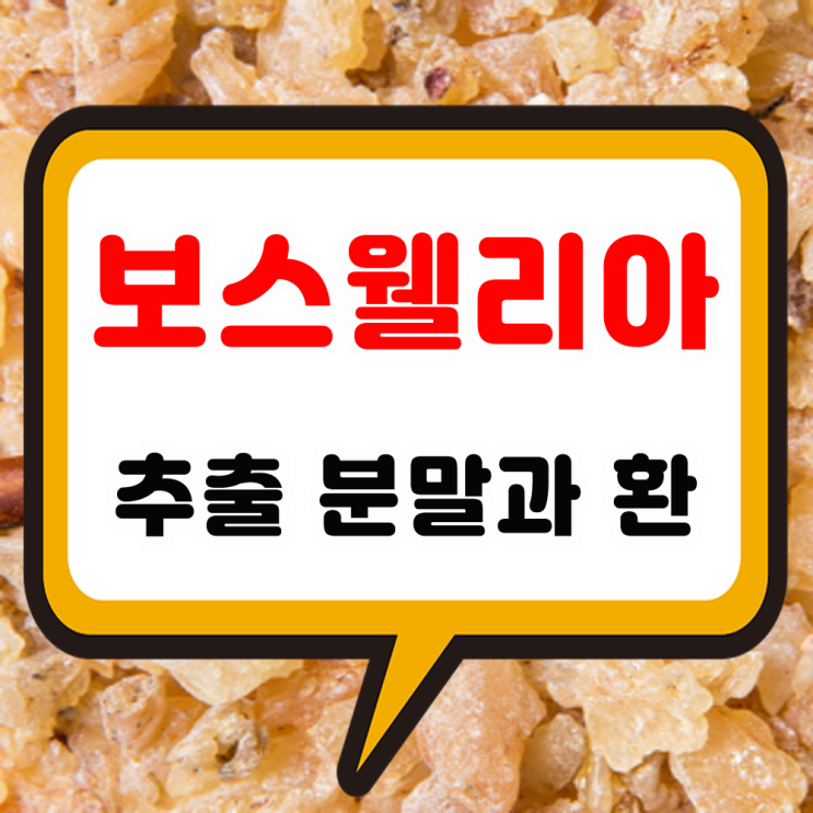 보스웰리아 영양제 효능 추출 분말 복용법과 환 섭취 부작용 가격 정보
