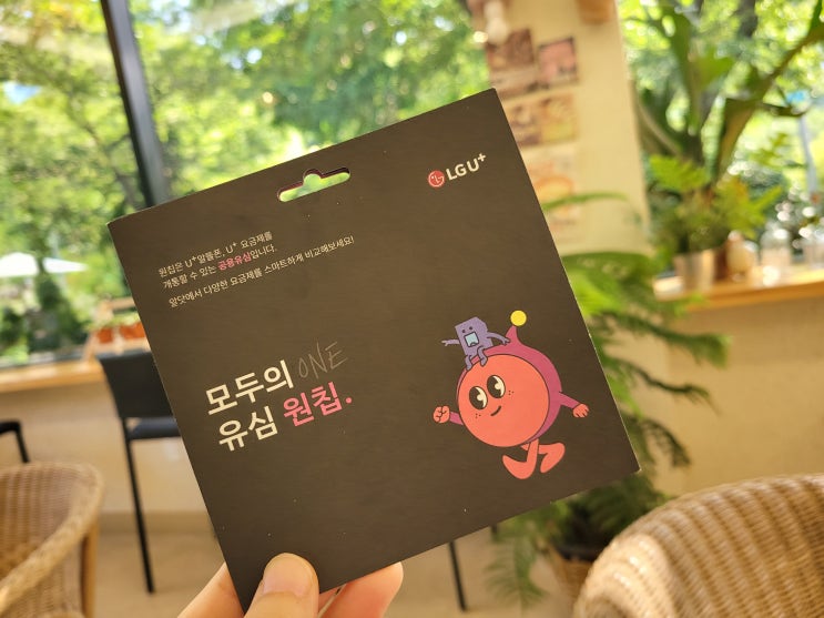  LGU+ 알뜰폰 유심 개통 방법 노하우